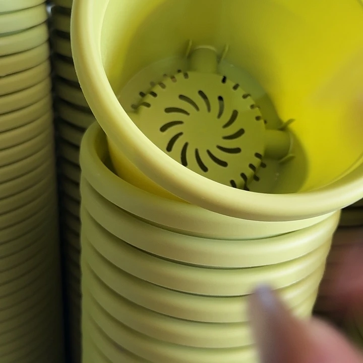 四季3号果绿无托10个特价微瑕