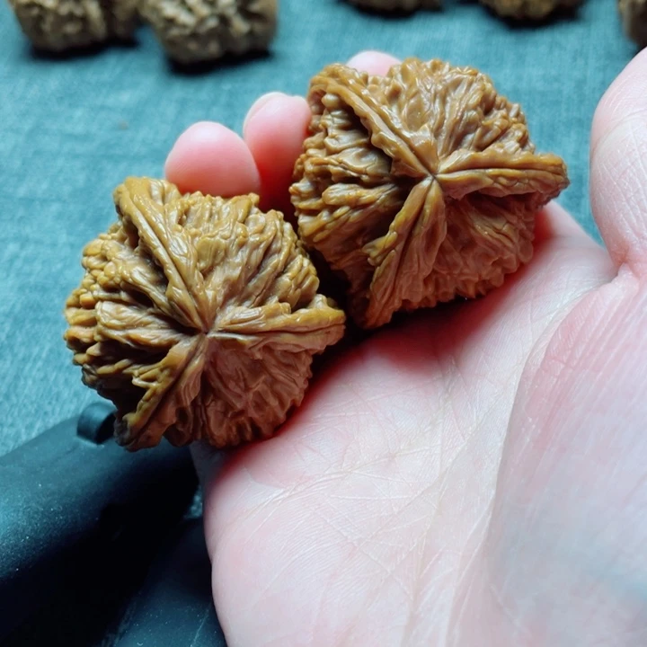 手工三棱白狮子三棱