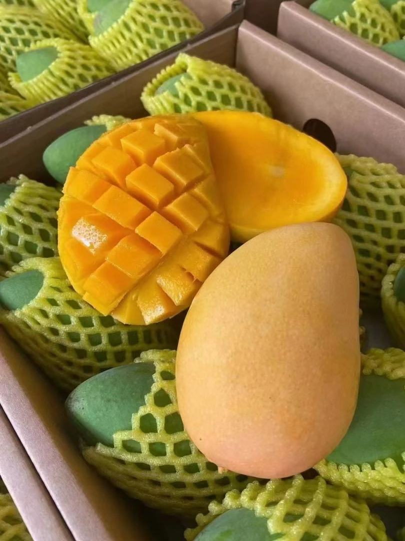田东特色水果芒果台农产地直发口感丝滑甜蜜蜜