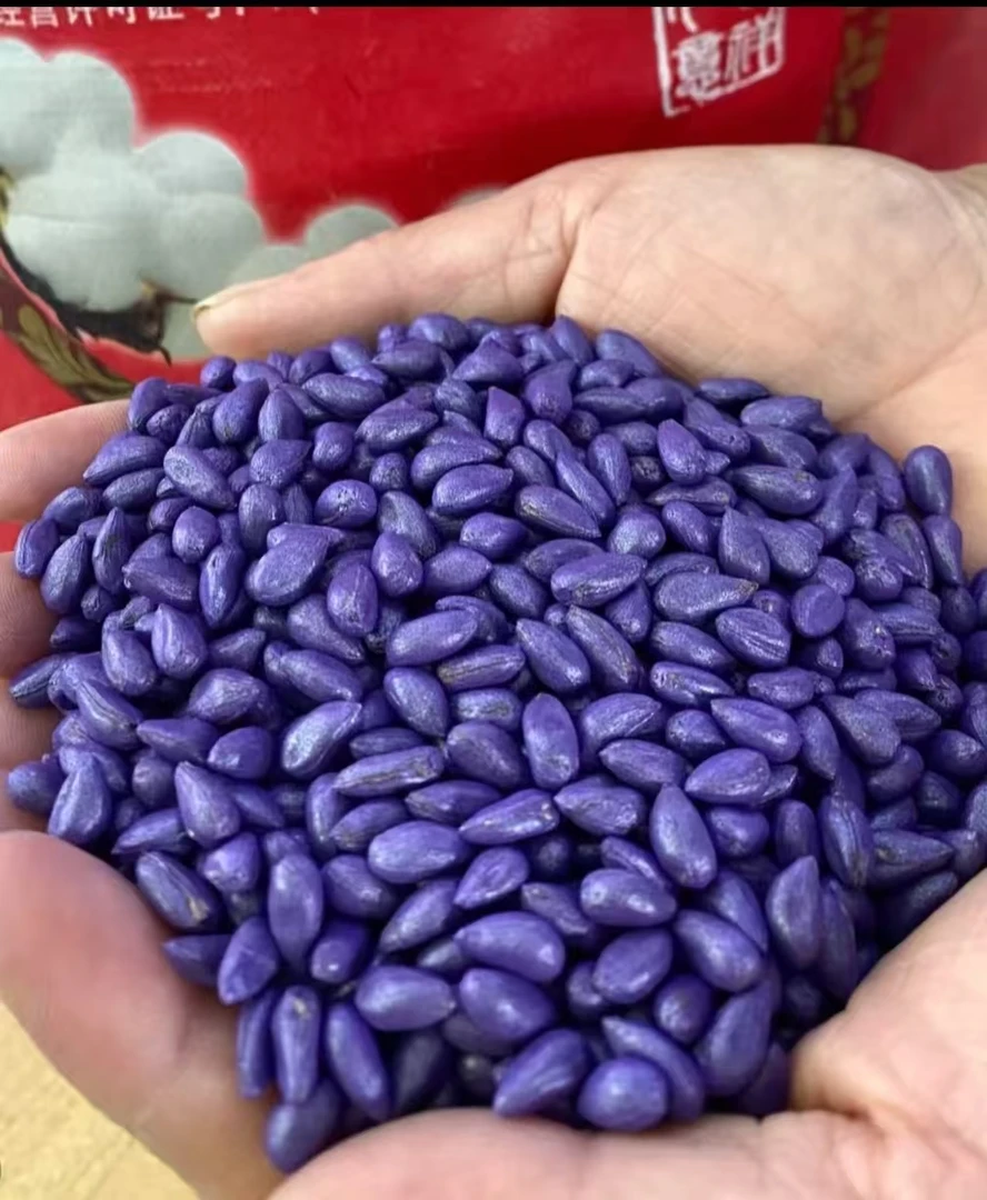 合信棉老大 早熟大桃抗草  优质大桃 双桃