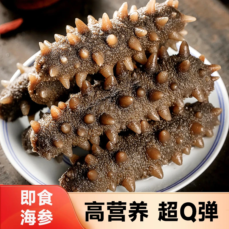 大连辽刺参源头工厂发货新鲜深海海参大刺