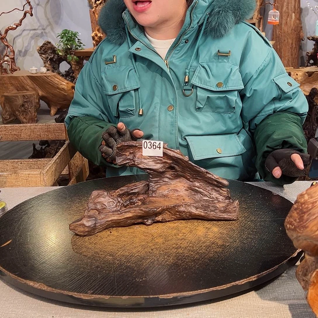 木进*364 hchvgghhhbbb