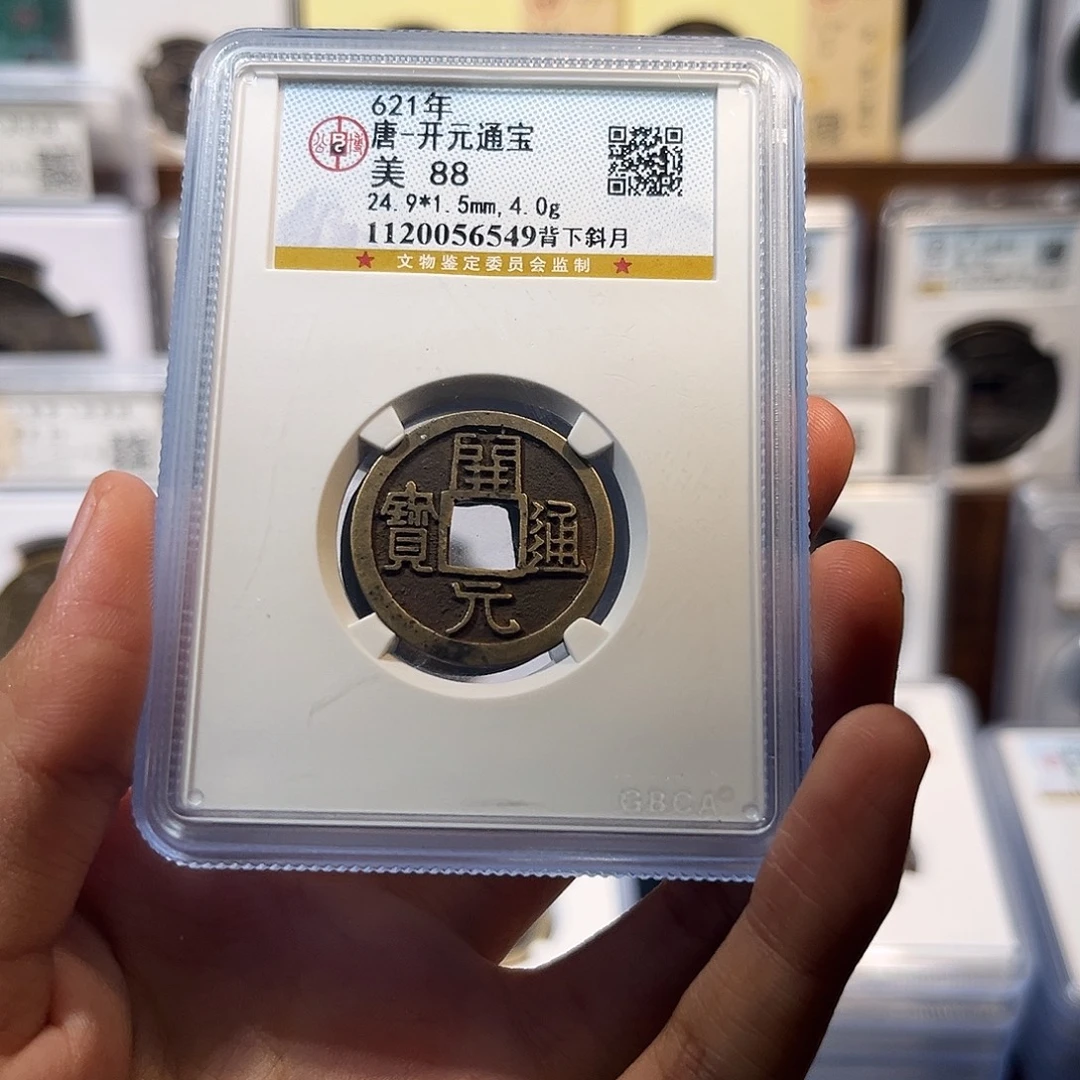 呼***芽铜h五株 保真保老 高品质 88分 6004