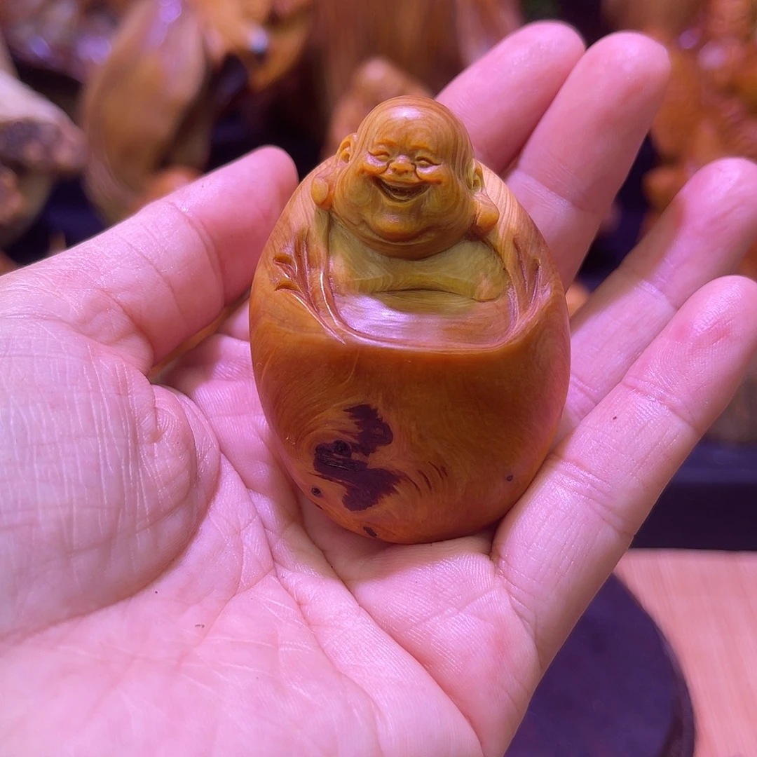 柏木888888888888888888