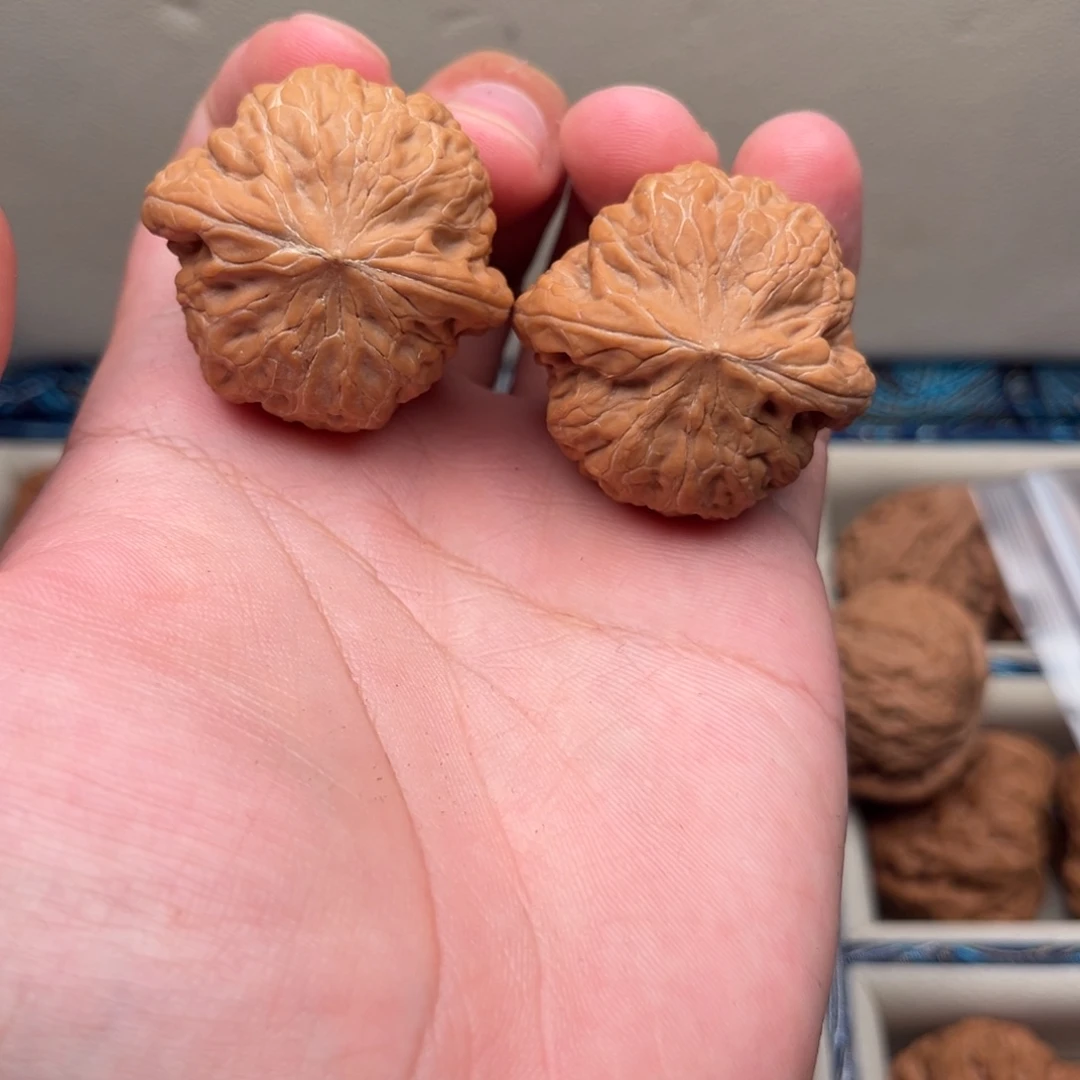 38全品复刻对铁锤牛