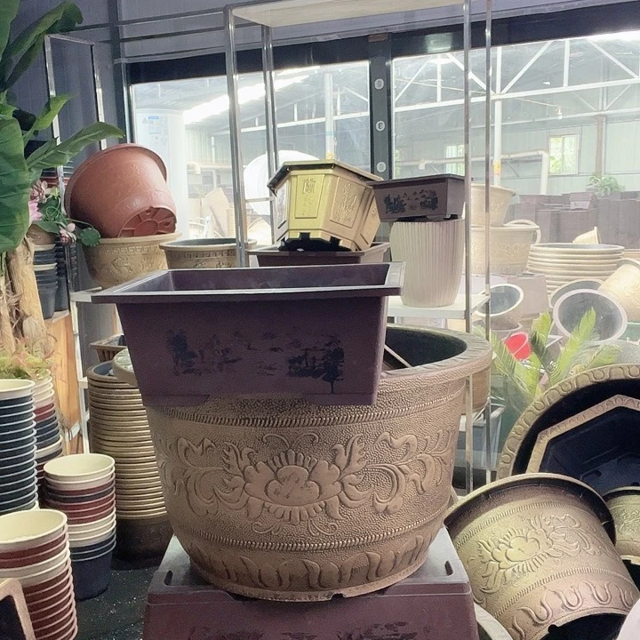 梅花照眼 依然旧风味