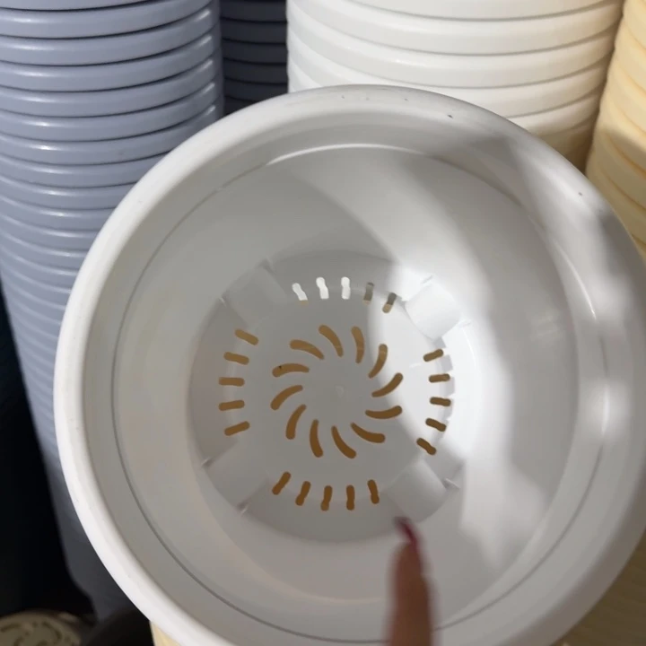 四季4号纯白无托10个特价微瑕