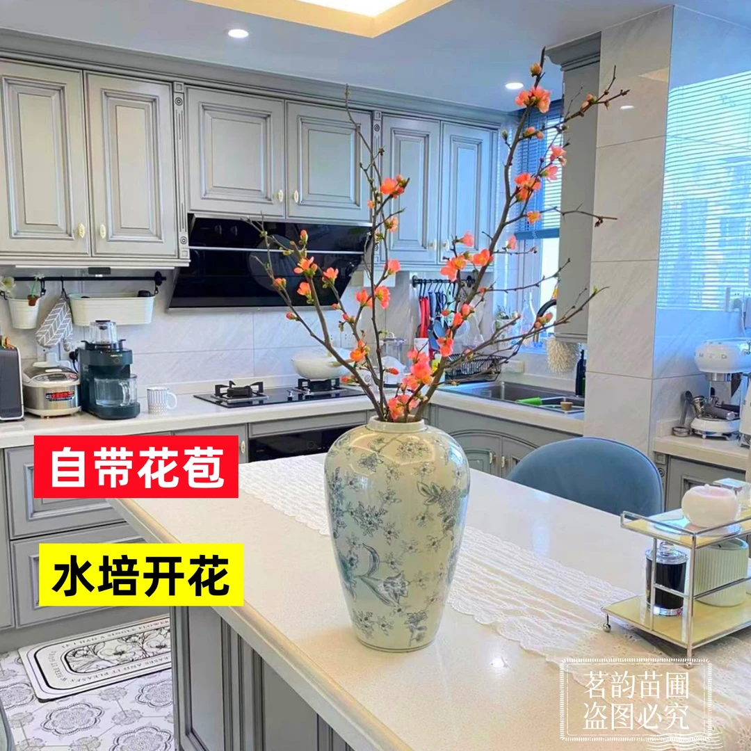 水培贴梗海棠鲜切枝条室内水养花卉水培开花客厅装饰水培干支海棠