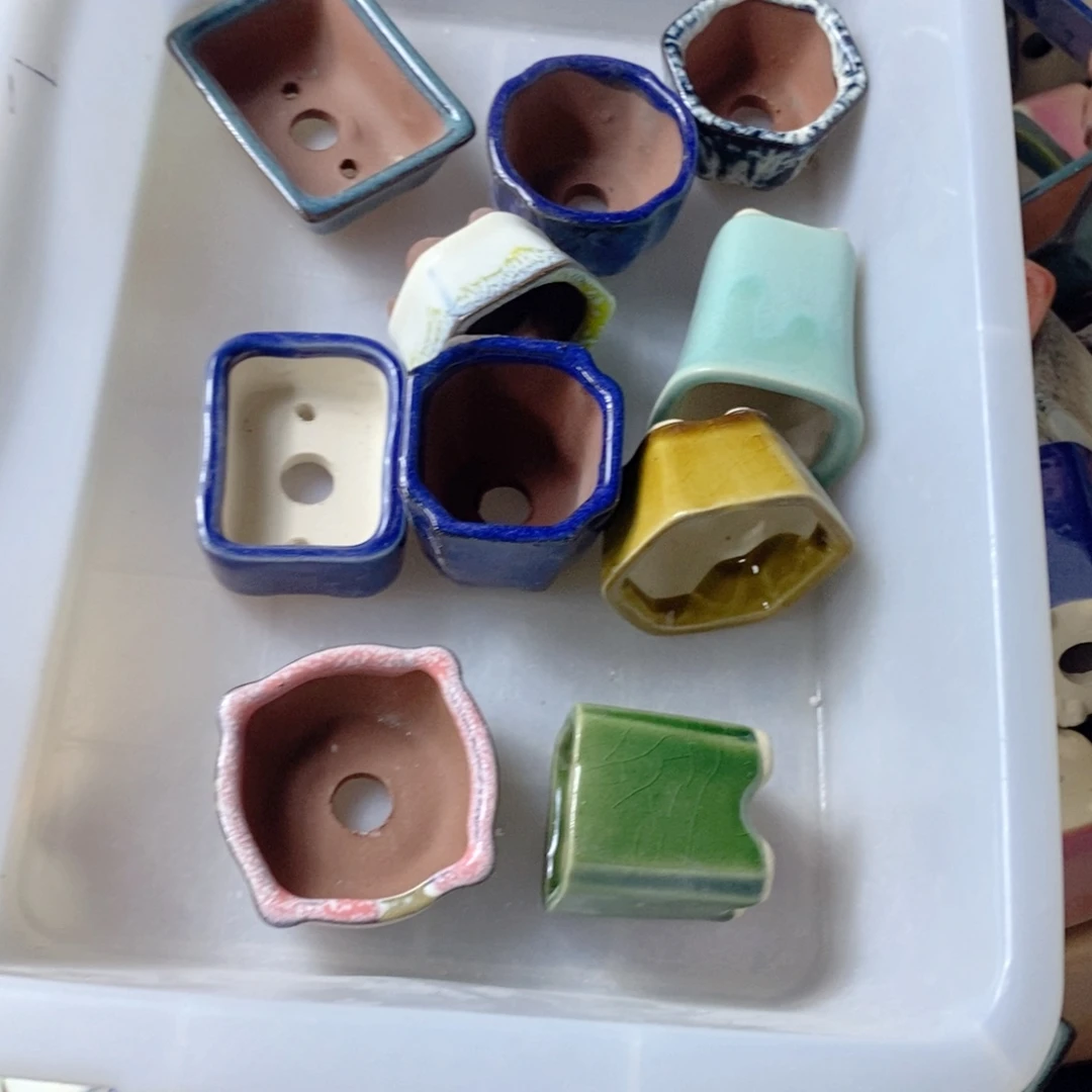 红陶小***力111111111，我们