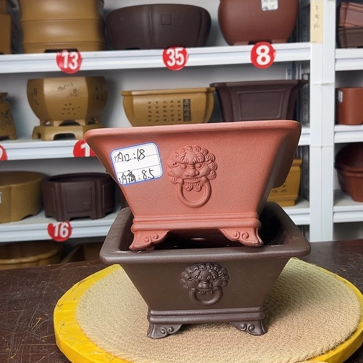 花盆紫砂你在一起