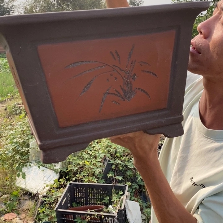 紫砂紫砂紫砂紫砂