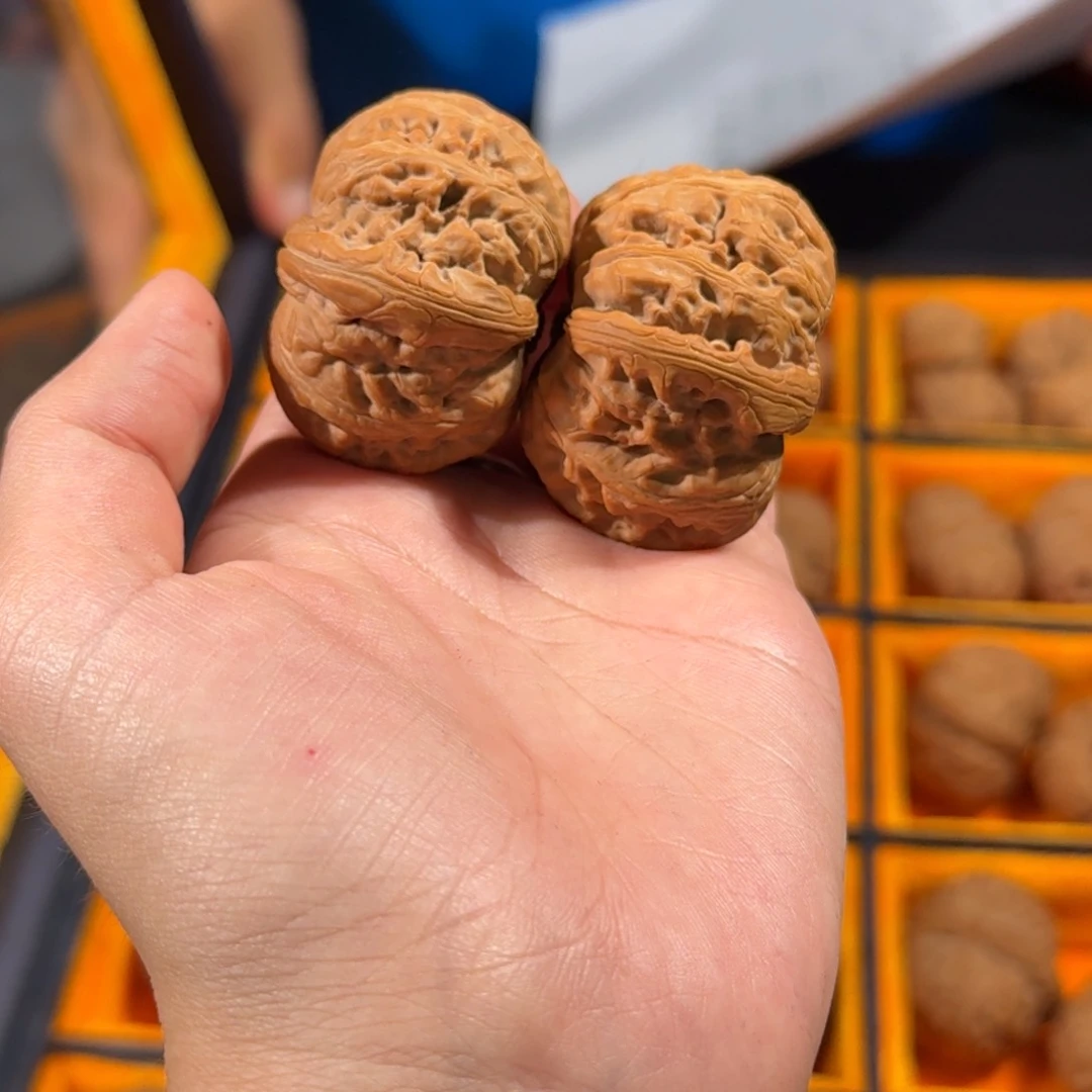 文玩核桃把件231号42mm平谷元宝