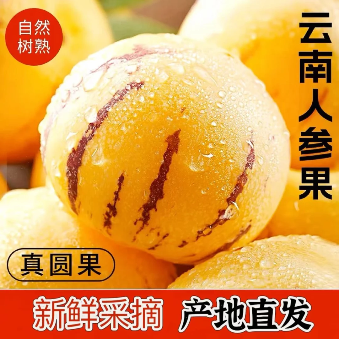 【真-树熟】石林原产地自然熟黄皮黄肉黄心现摘现发人参果低糖低脂