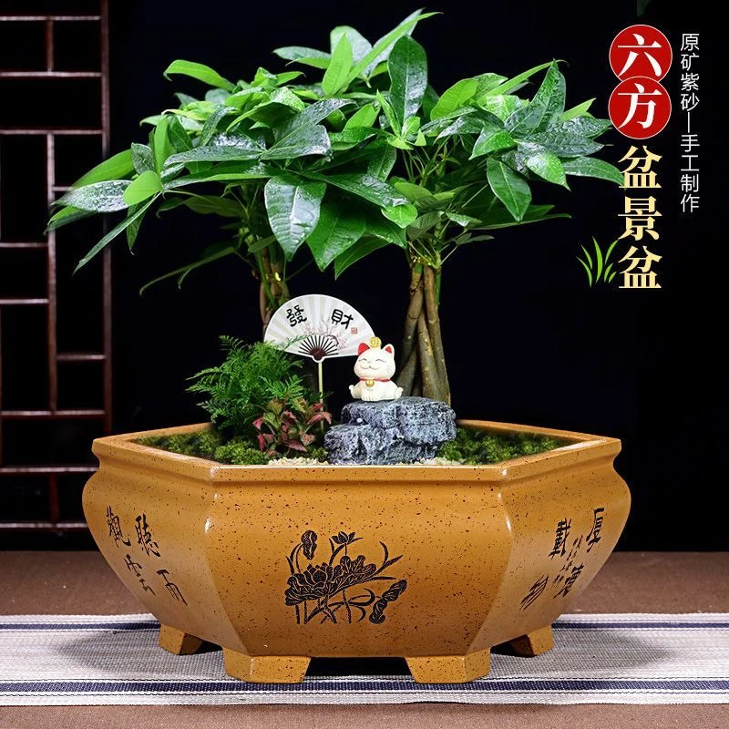 紫砂六方花盆大口径六角盆景花盆大号种树阳台专用陶瓷花盆清仓大