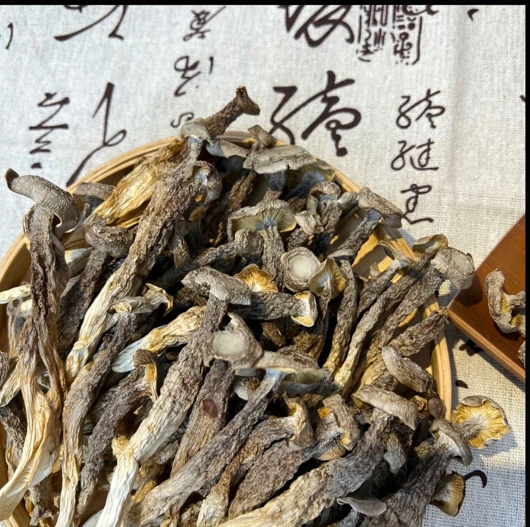 云南山货【鹿茸菇】老陈甄选