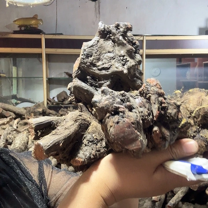 䖝***二火琉璃的故事是一个