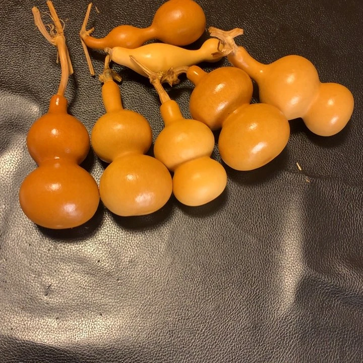 好想看啊这一天就过去看我啦