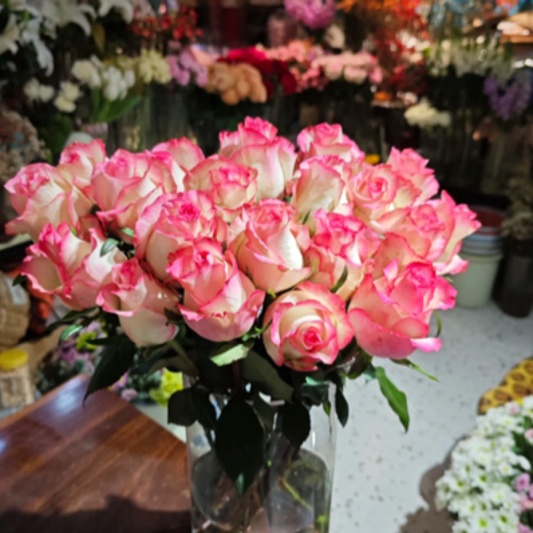 艾莎单头玫瑰新鲜鲜花花束云南基地直发适合客厅装饰