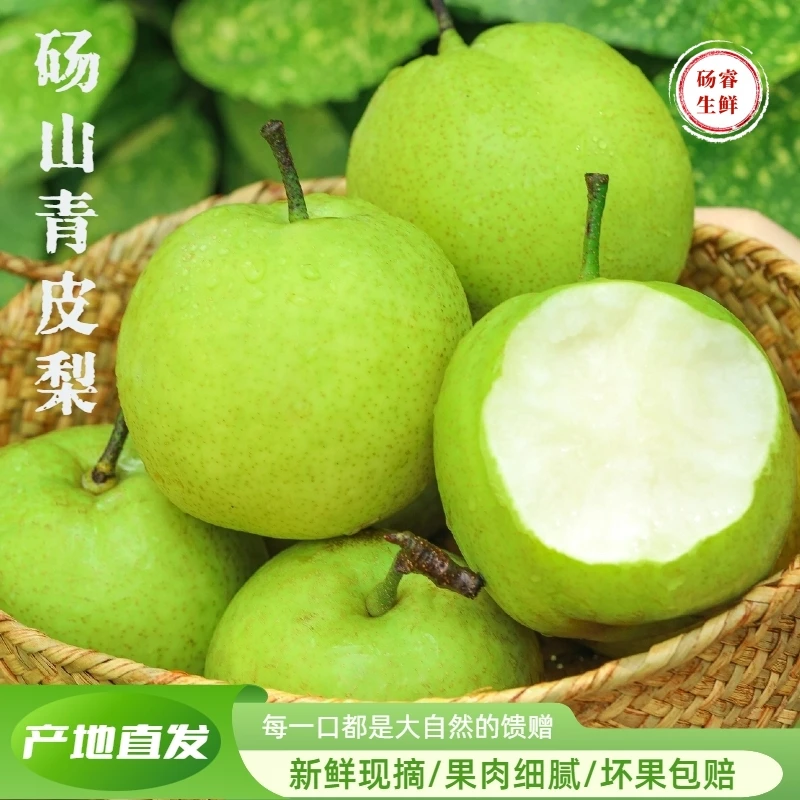 【顺丰包邮】正宗砀山皇冠梨青皮蜜梨翠冠翠玉梨苹果梨雪梨现摘现发