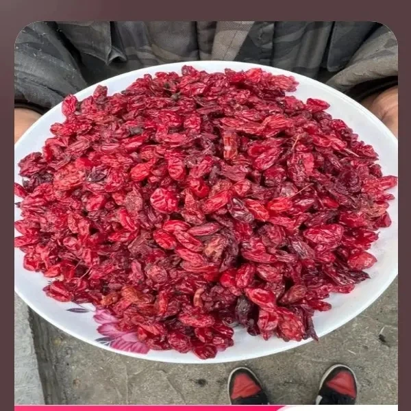 新货无核山萸肉正宗山茱萸可搭配枸杞当归泡水喝