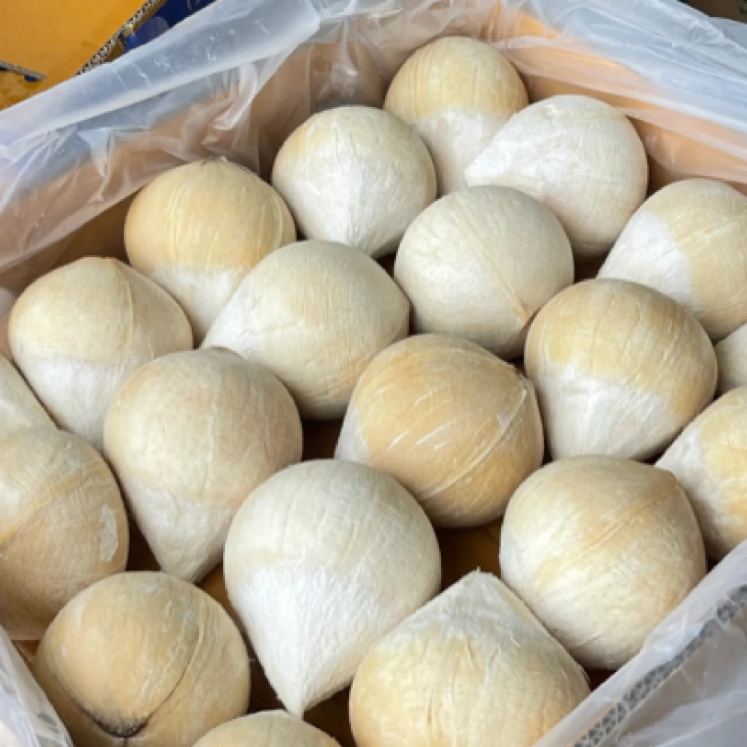 海南椰皇现摘椰子肉当季新鲜水果海南省