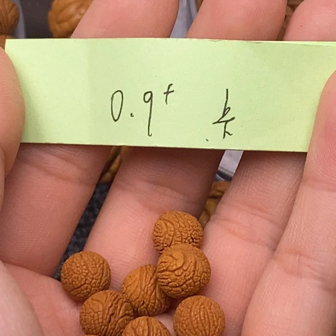 秦岭山脉龙纹桃核 23