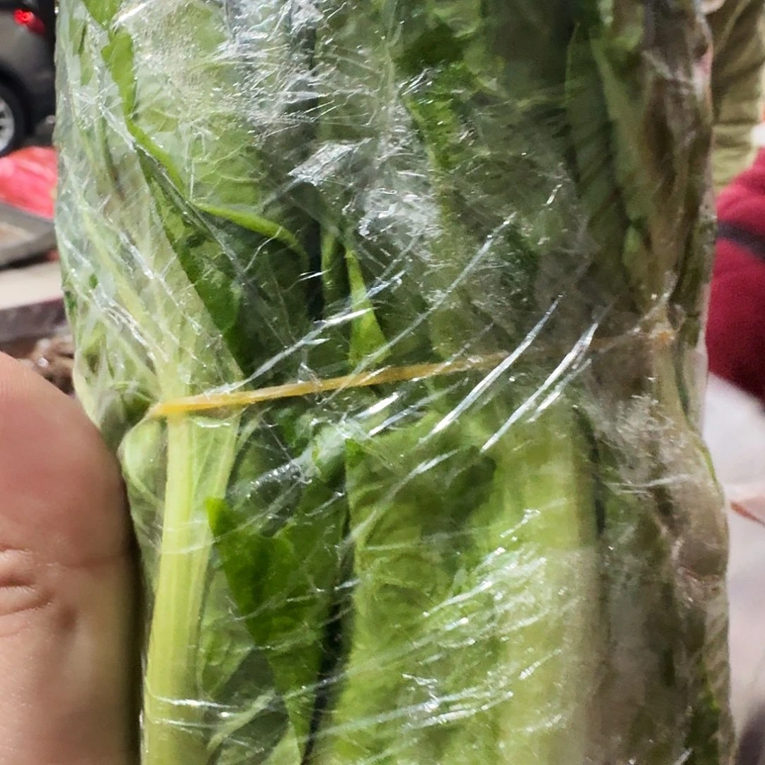 ****白菜中国大陆青菜