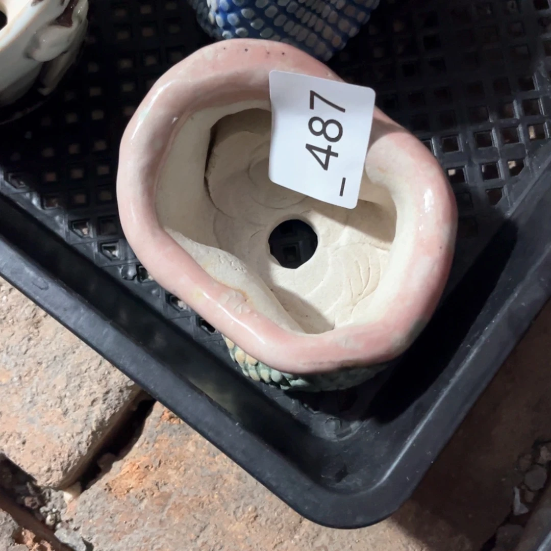 红陶✨****_487花盆1个