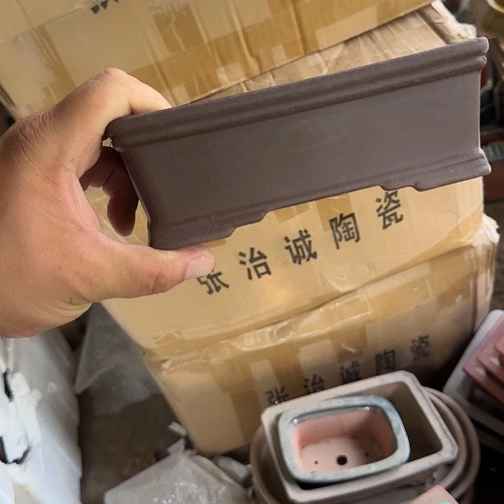 在干嘛的我也睡啦