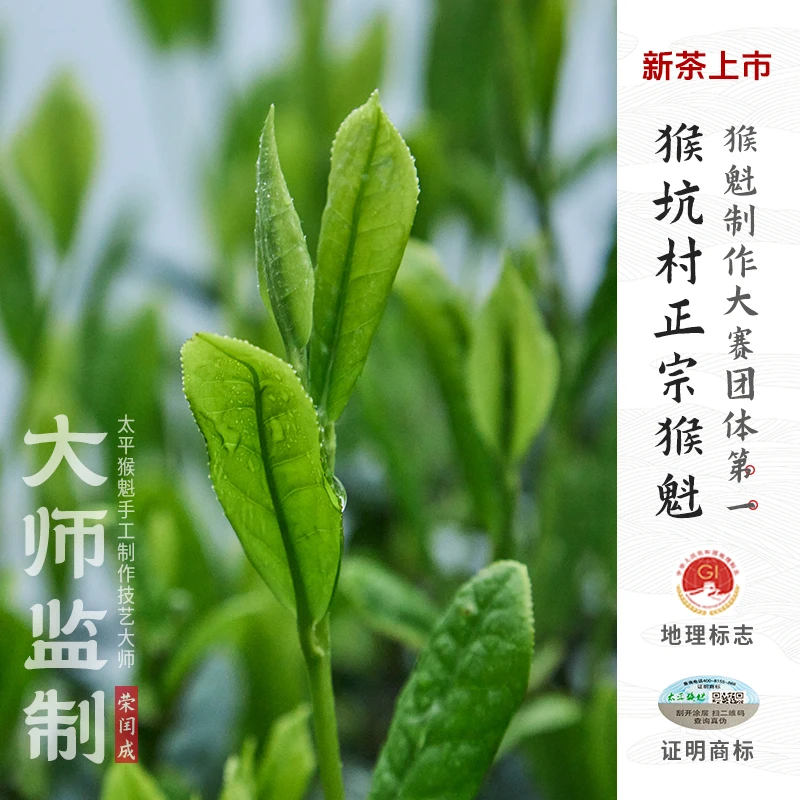 甘岭园2025新茶猴坑村正宗猴魁大师监制太平猴魁手工捏尖一级猴魁