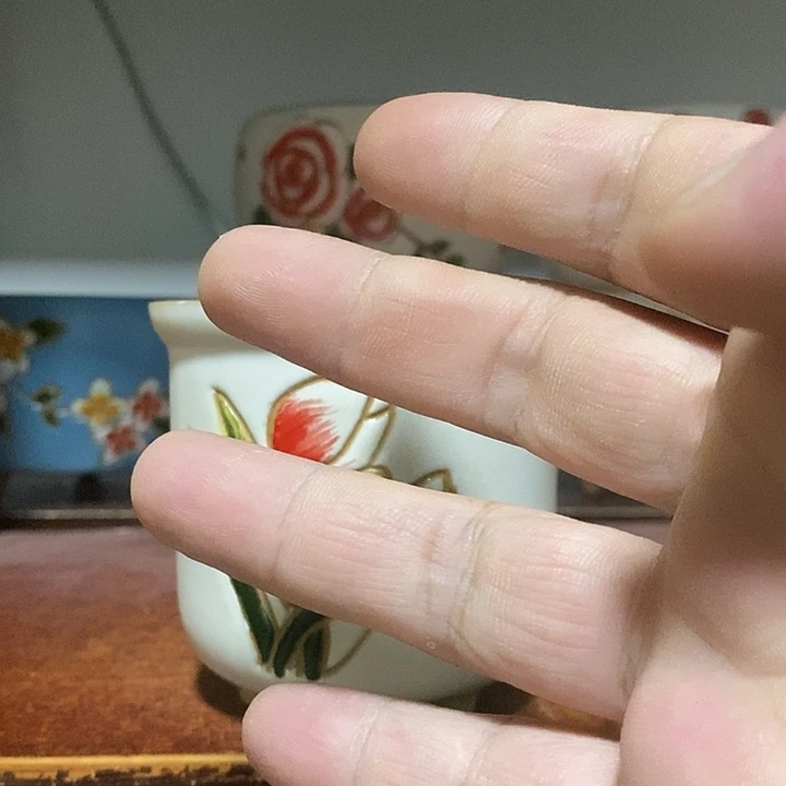 韩式多肉植物花盆