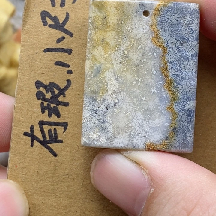 颈饰未镶嵌硅化珊瑚（珊瑚玉）