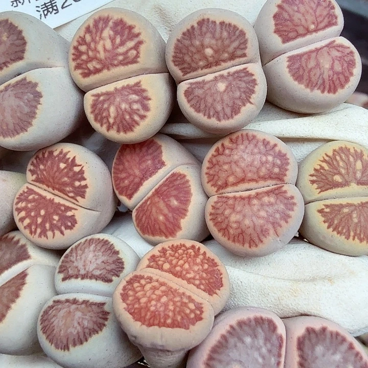 再***手这个点睡起来都会梦中737