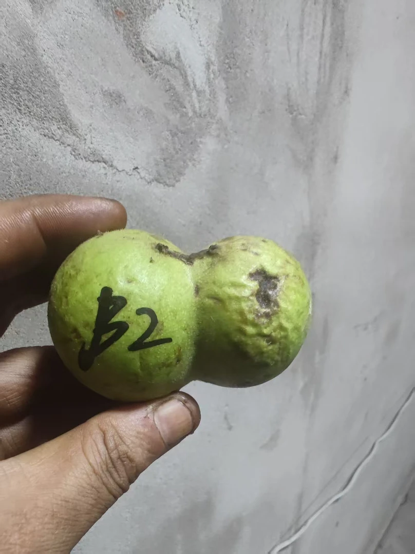 盘山文玩核桃1个