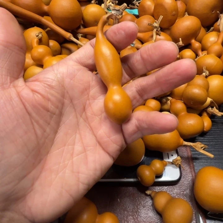 傅****?富得流油的一把一袋蚂蚁糊了