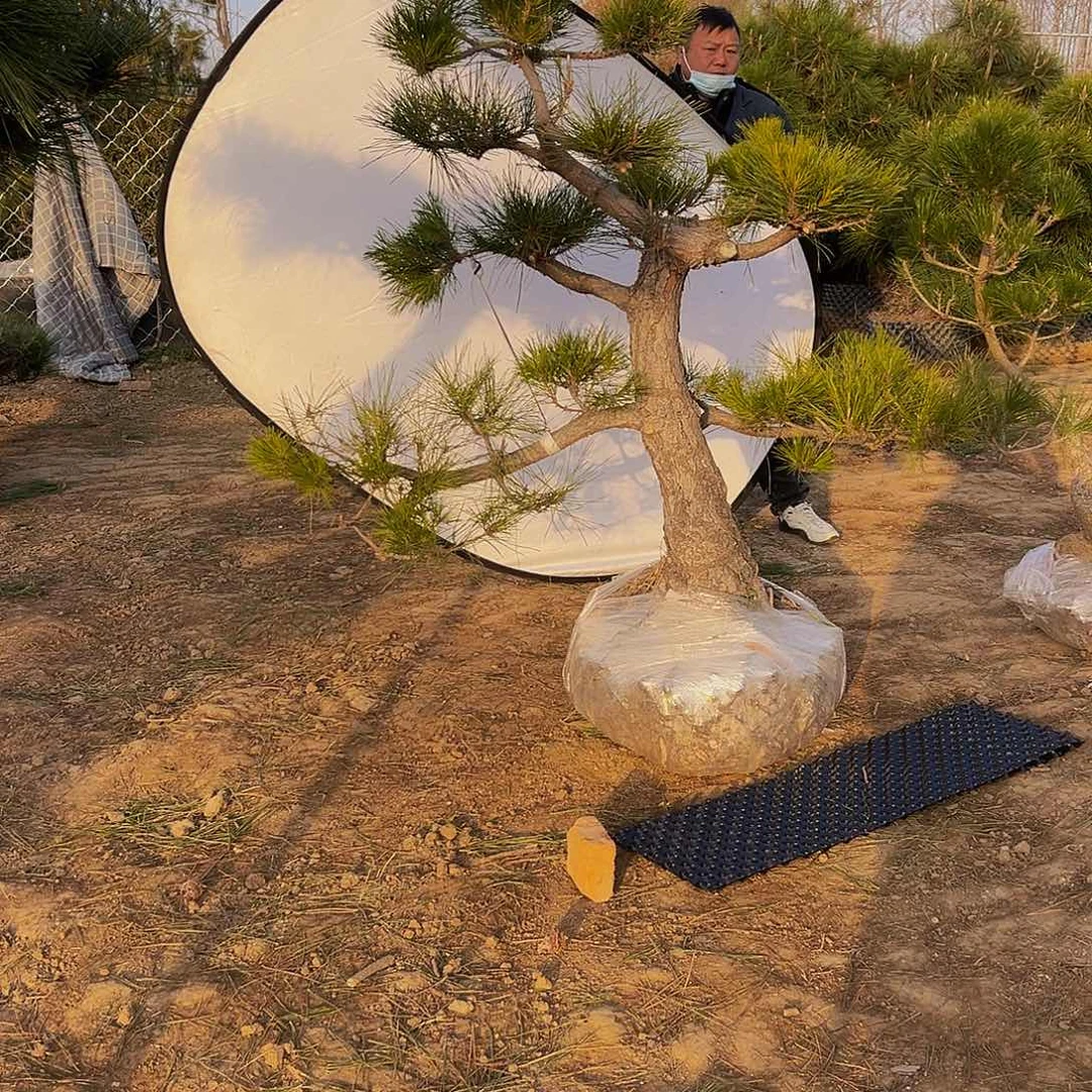 无花朵白*手88888888