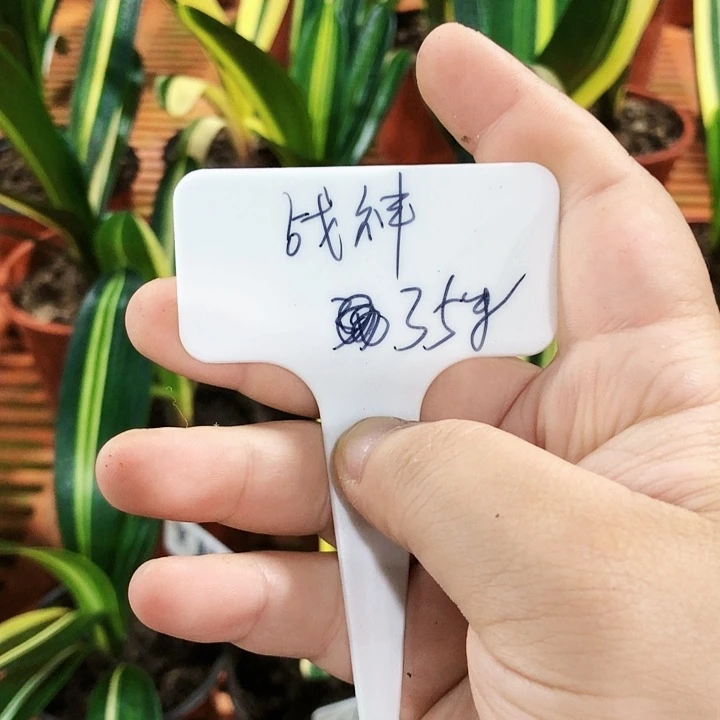 【闪购商品】A****B