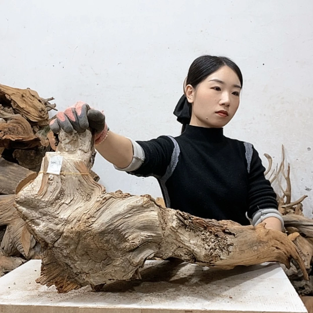 【闪购商品】柏木小*我们都是好孩子