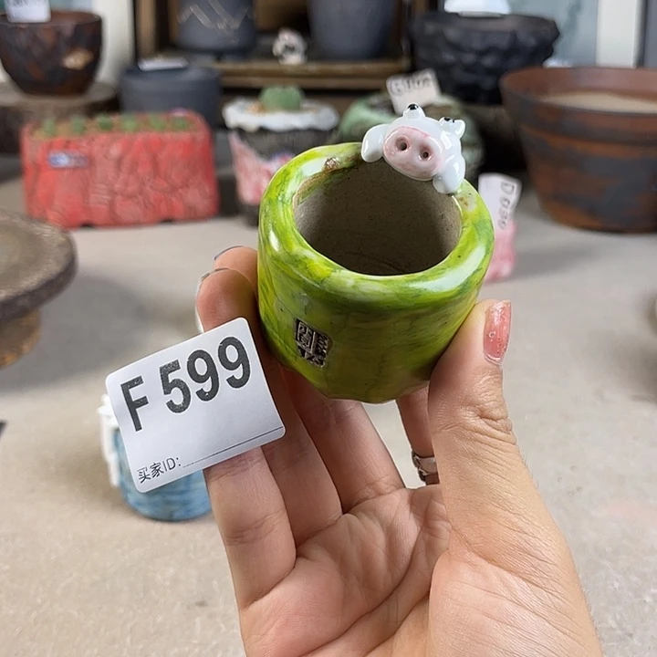小白孤品 猪猪盆 内口3.5 左右 百搭