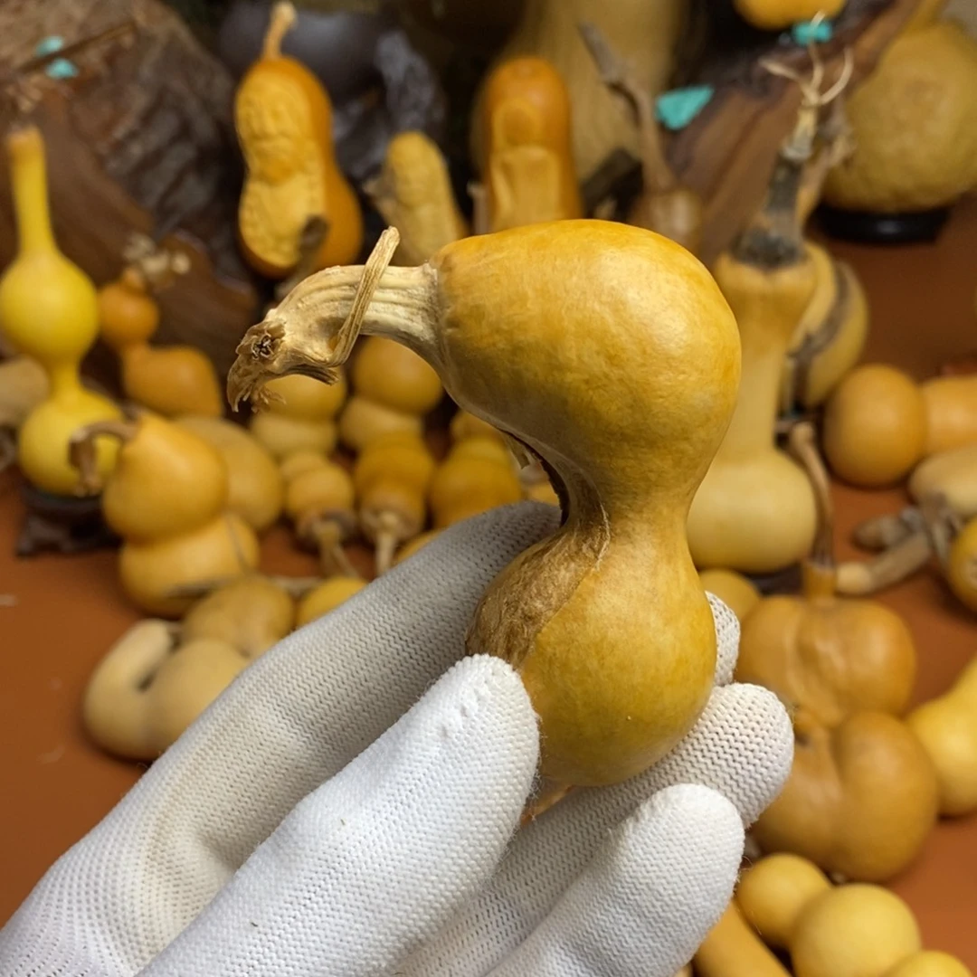 浩***泽教练咯路途考虑考虑