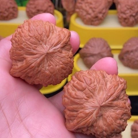 吊坠文玩核桃和尚头44.5全品