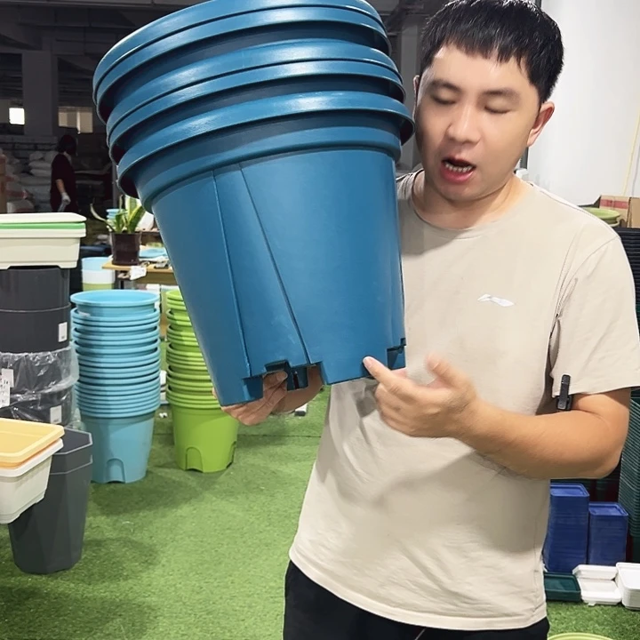 青山口40高35蓝色5个无托