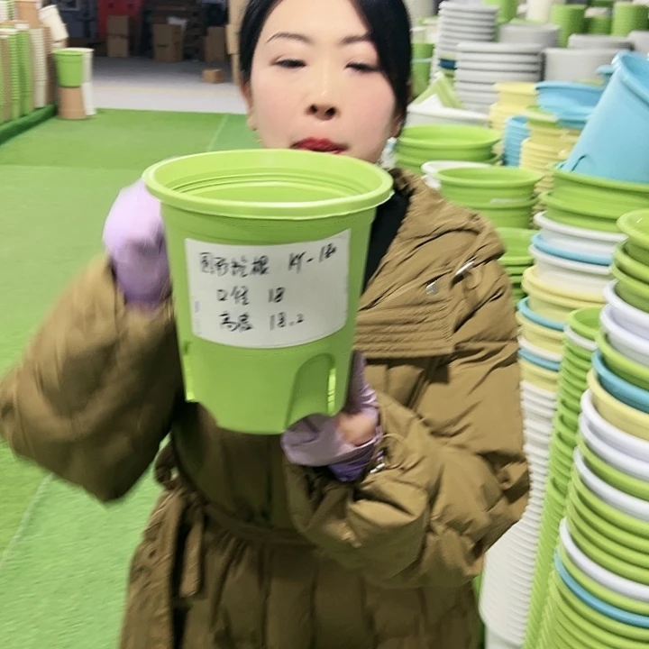 正品圆控口18高18果绿8只无托