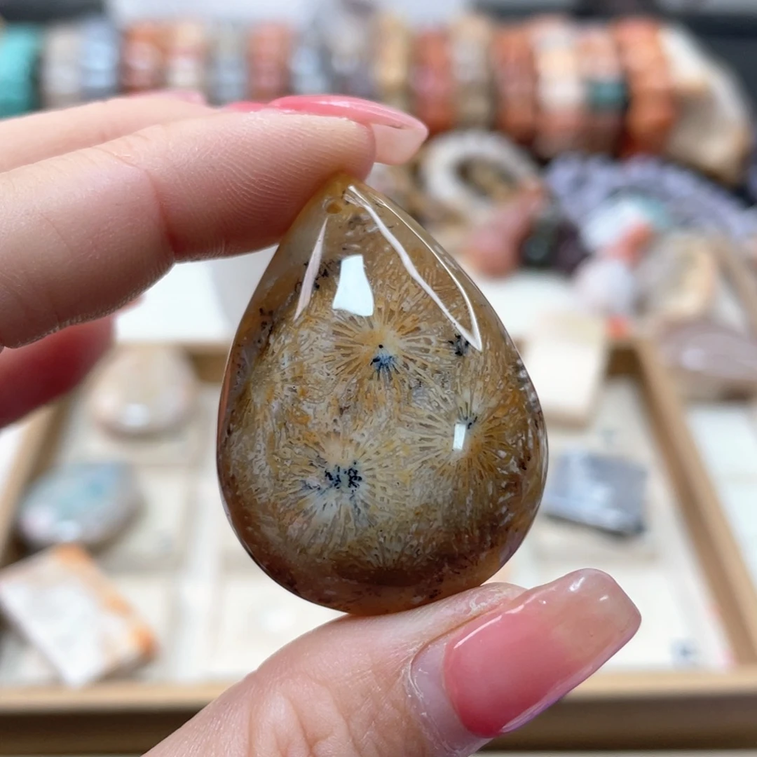 未镶嵌手链硅化珊瑚（珊瑚玉）平****福121
