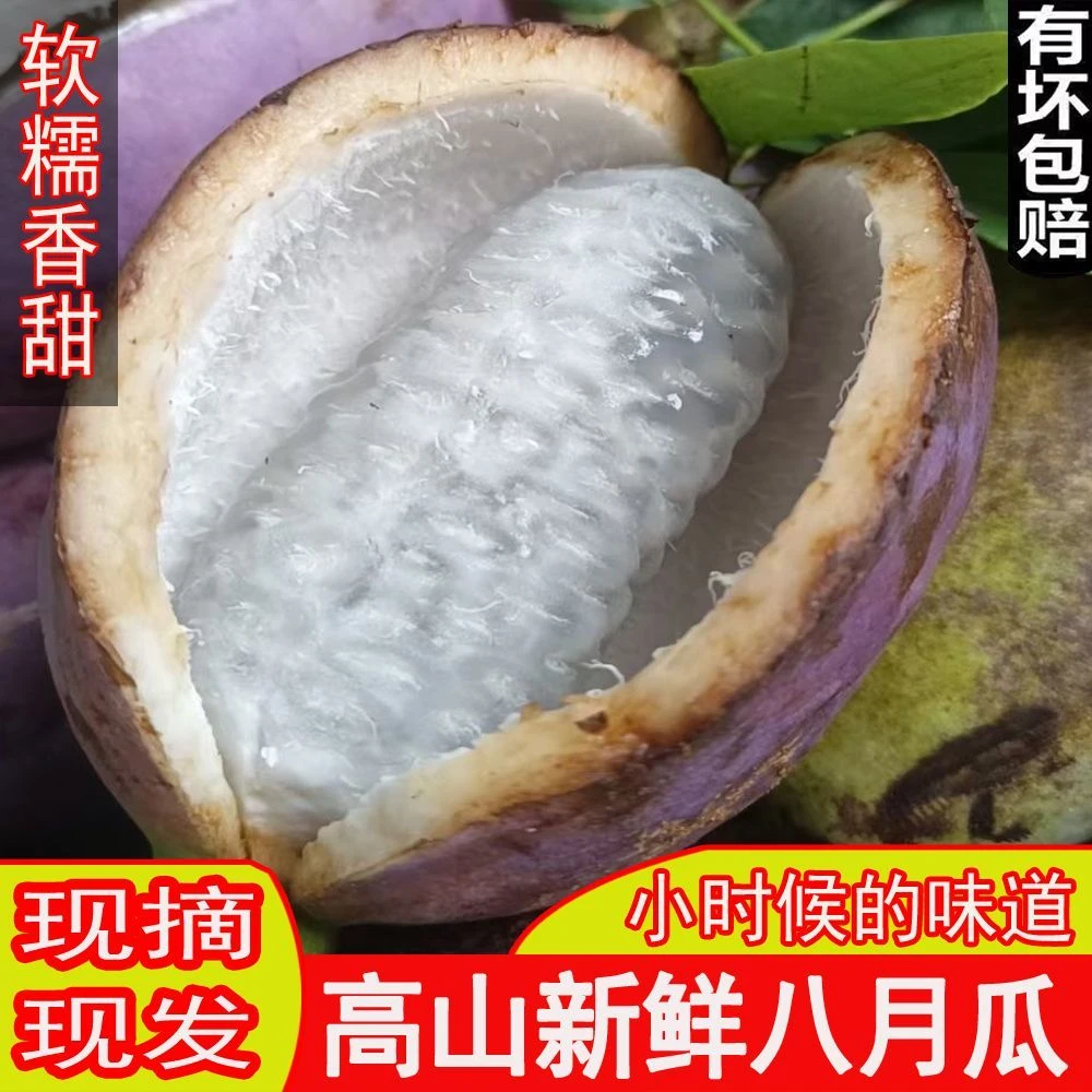 现摘贵州八月瓜八月炸顺丰包邮木通果猫屎瓜九月黄网红水果孕妇