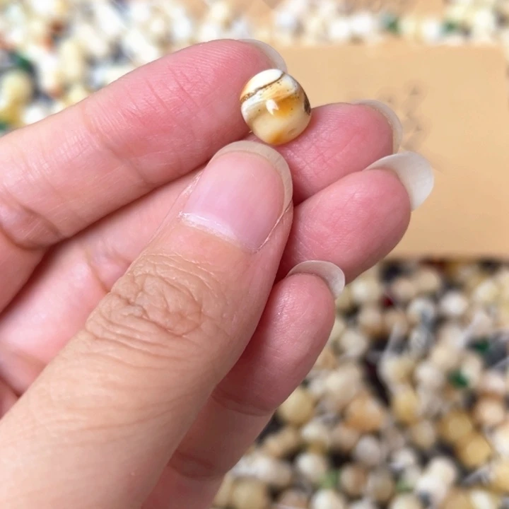 裸石蜜蜡未镶嵌8.6mm一个