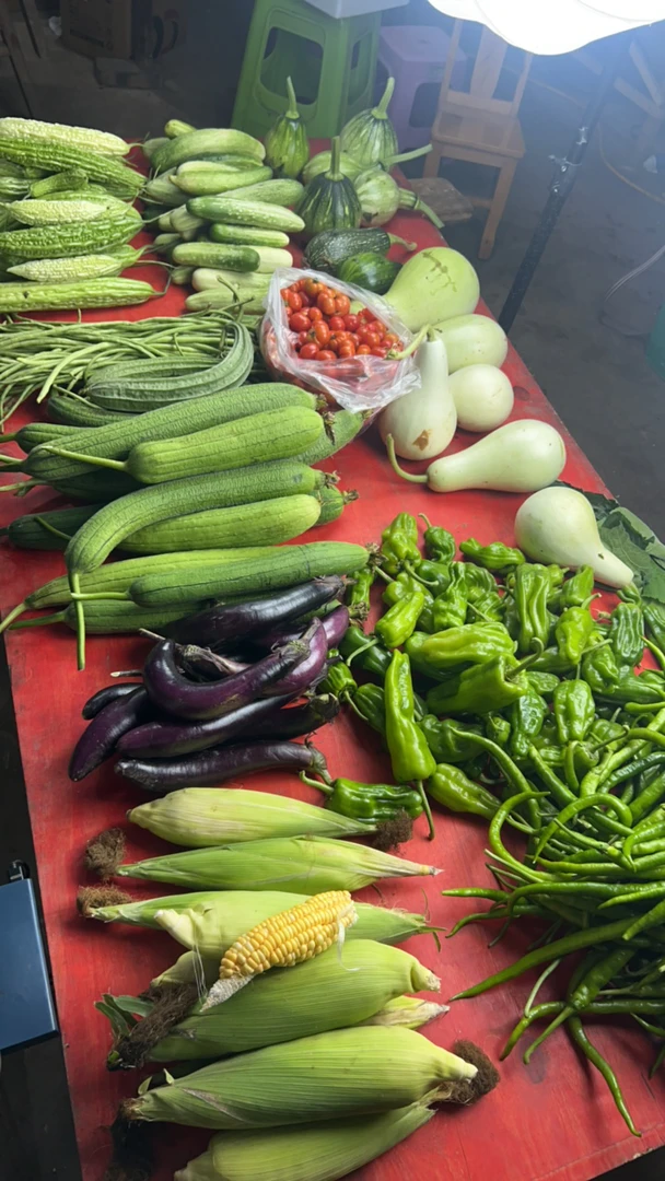 农家新鲜现收蔬菜拼单