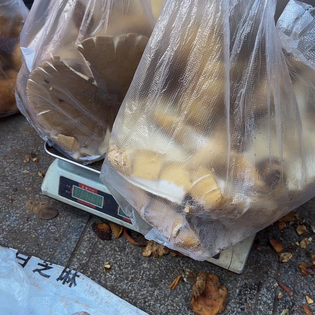 快***灵中国大陆黄鸡纵油炸5.16斤
