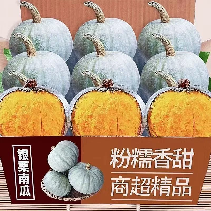 正宗银栗贵族南瓜新鲜甜糯板栗味老南瓜孕妇宝宝辅食