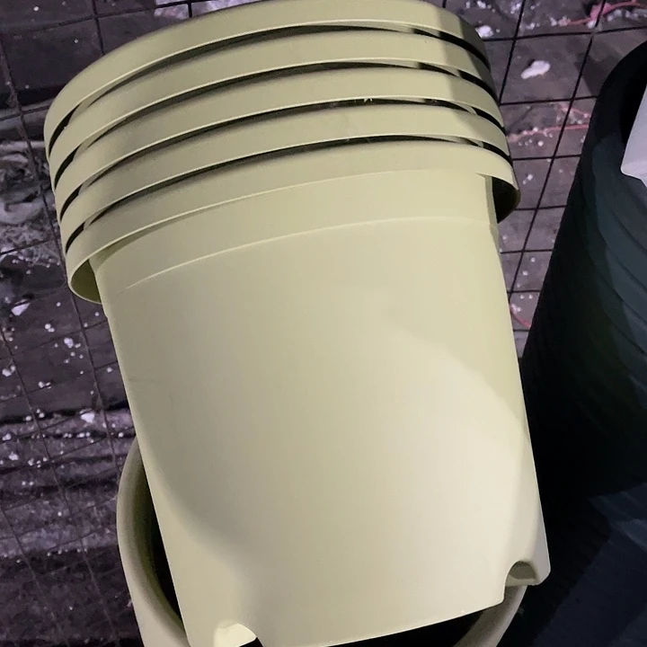 树脂伊特5号果绿色5个